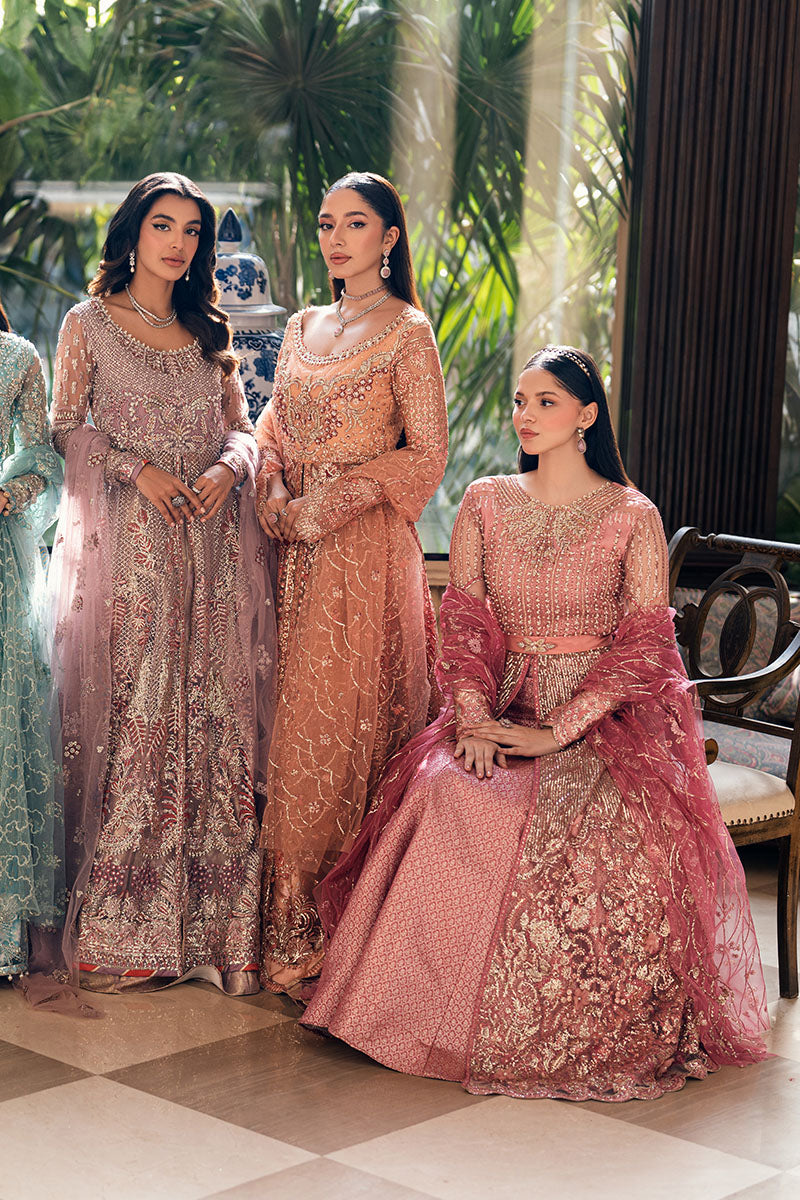 Mushq | Mann Mein Tu Wedding | WADAY - Rang-e-Khaas