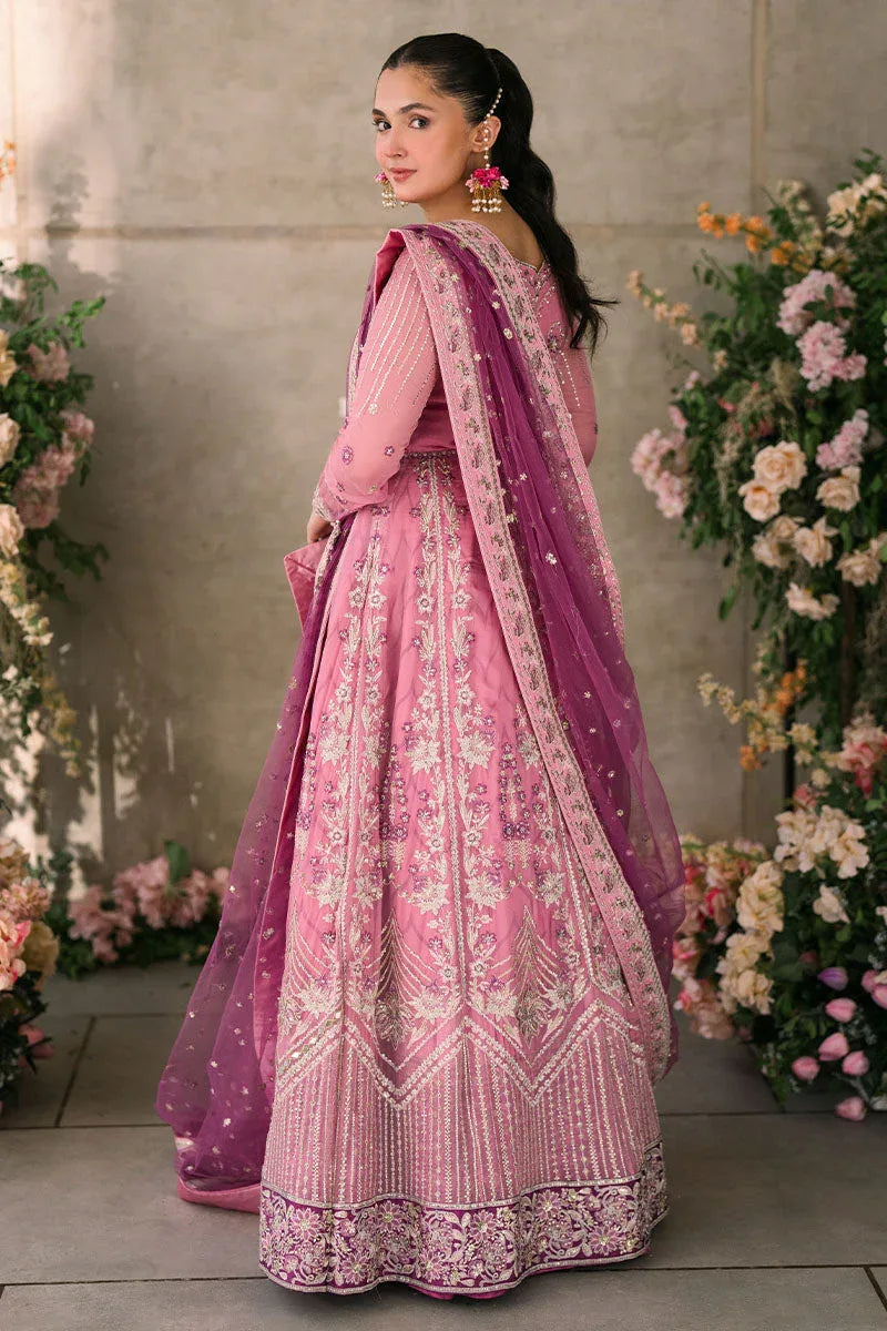 Mushq | Matani Evening Luxury Chiffon | Dua - Rang-e-Khaas