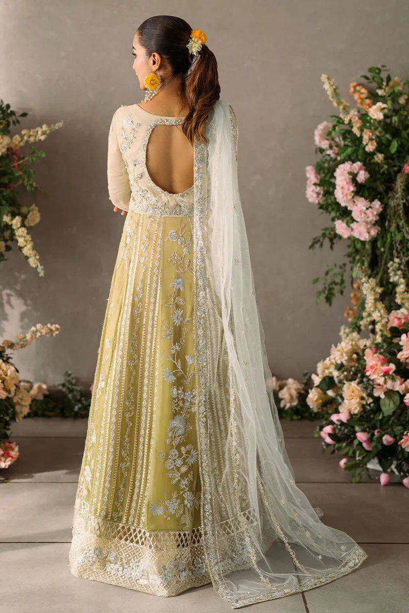 Mushq | Matani Evening Luxury Chiffon | Hira - Rang-e-Khaas
