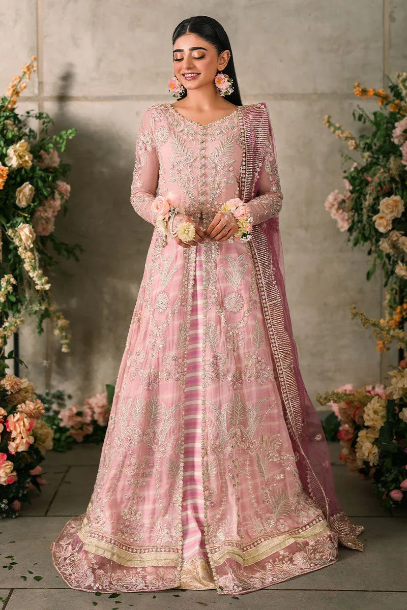 Mushq | Matani Evening Luxury Chiffon | Maisha - Rang-e-Khaas