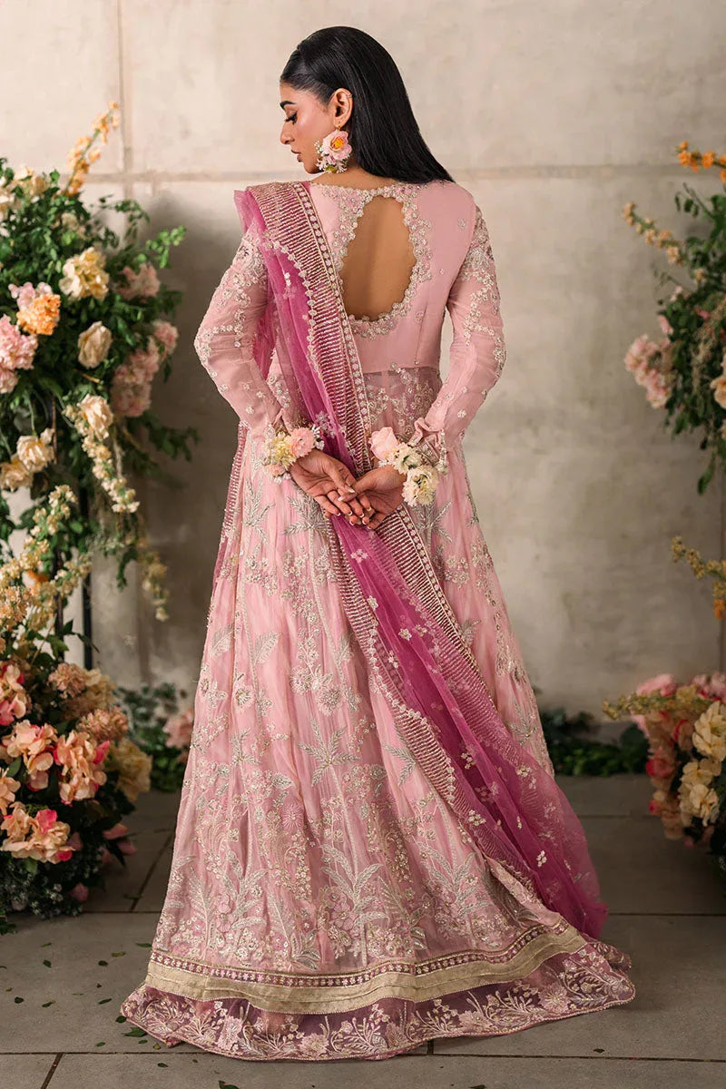 Mushq | Matani Evening Luxury Chiffon | Maisha - Rang-e-Khaas