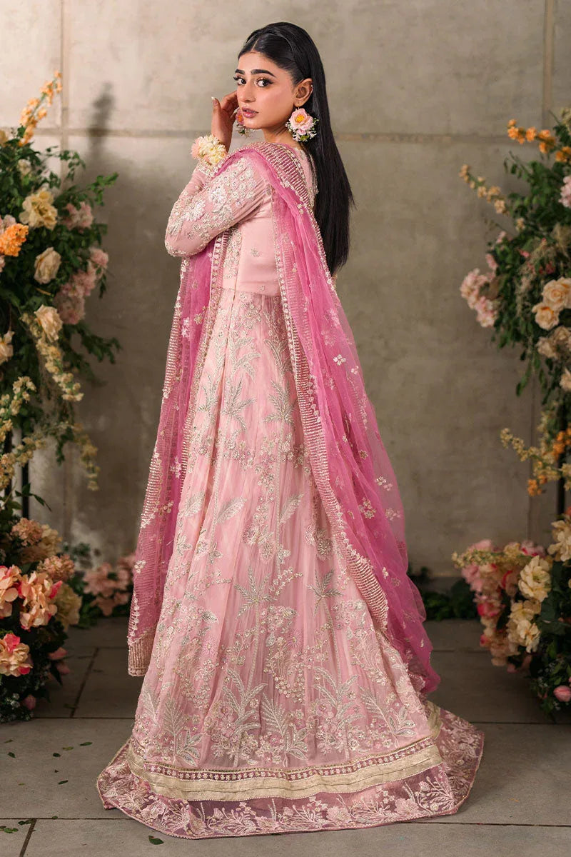 Mushq | Matani Evening Luxury Chiffon | Maisha - Rang-e-Khaas