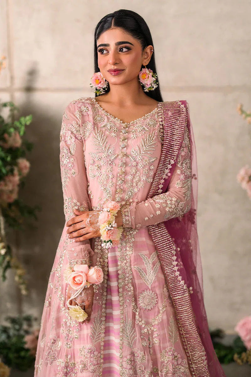 Mushq | Matani Evening Luxury Chiffon | Maisha - Rang-e-Khaas