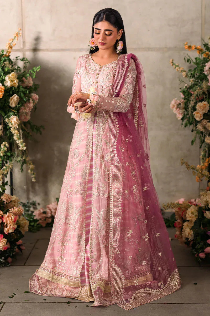 Mushq | Matani Evening Luxury Chiffon | Maisha - Rang-e-Khaas