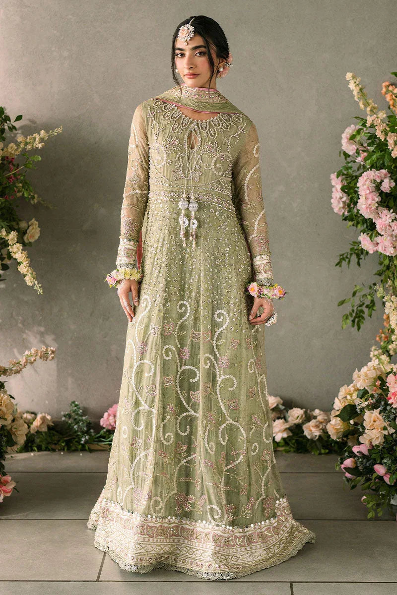 Mushq | Matani Evening Luxury Chiffon | Namar - Rang-e-Khaas