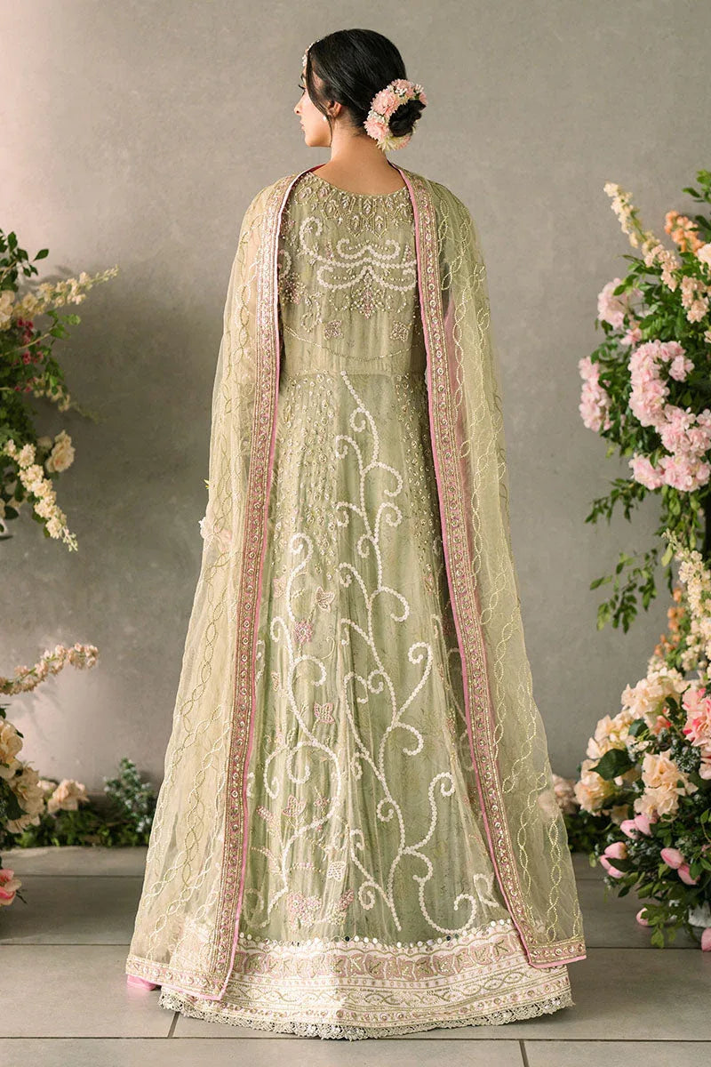 Mushq | Matani Evening Luxury Chiffon | Namar - Rang-e-Khaas