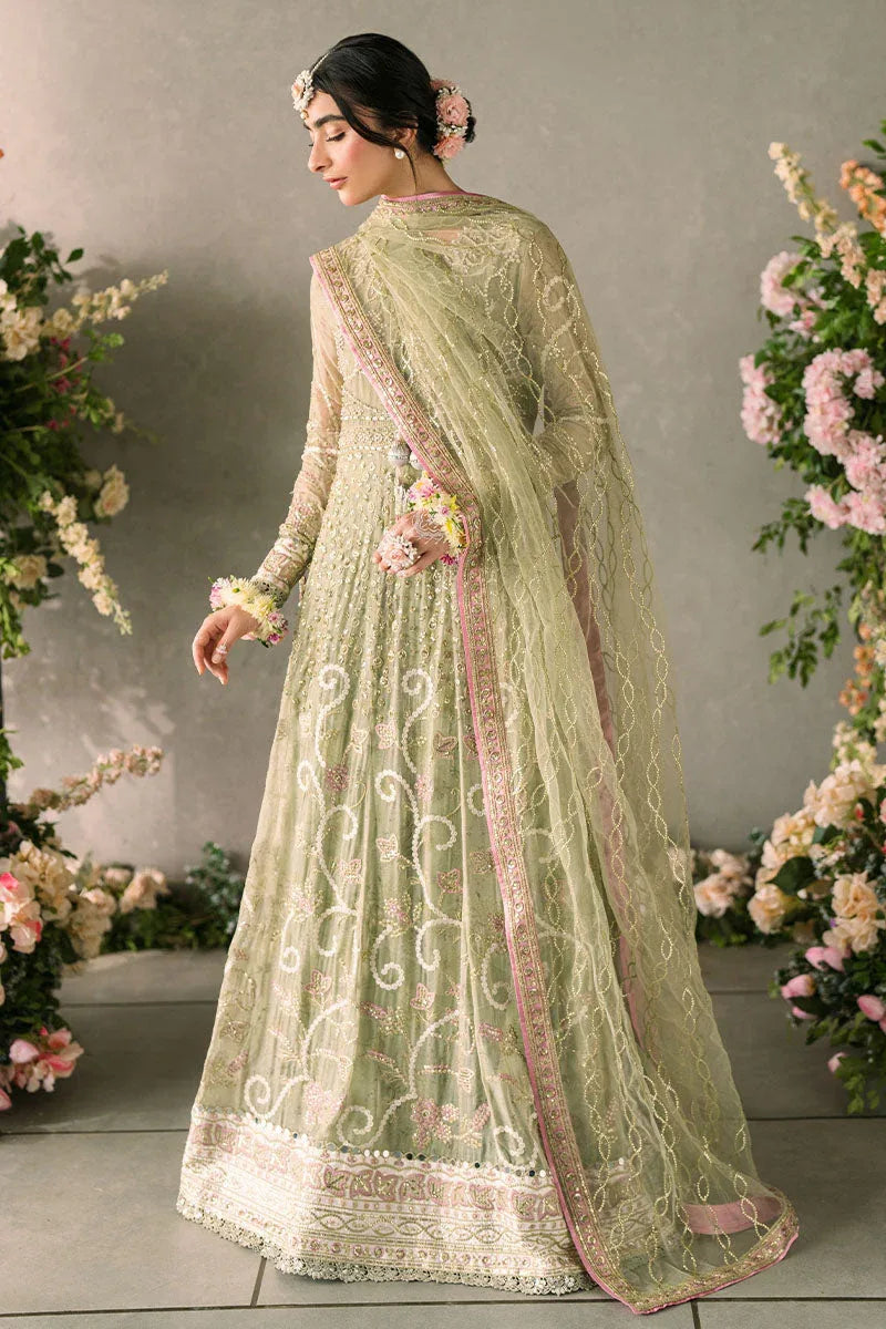 Mushq | Matani Evening Luxury Chiffon | Namar - Rang-e-Khaas