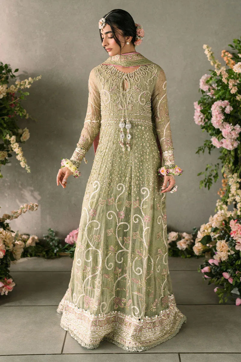 Mushq | Matani Evening Luxury Chiffon | Namar - Rang-e-Khaas