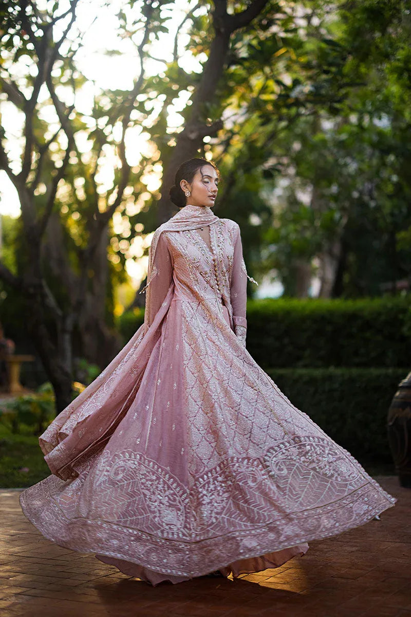 Mushq | Roohi Luxury Collection | AANYA - Rang-e-Khaas