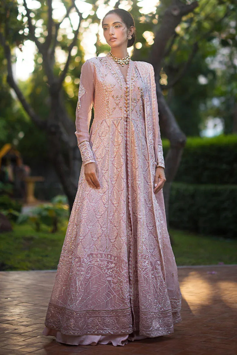 Mushq | Roohi Luxury Collection | AANYA - Rang-e-Khaas