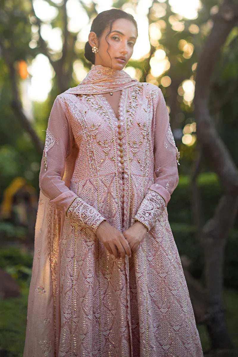 Mushq | Roohi Luxury Collection | AANYA - Rang-e-Khaas