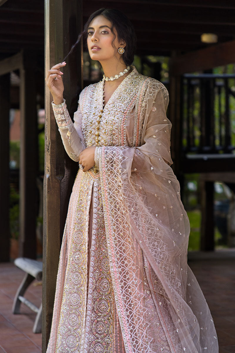 Mushq | Roohi Luxury Collection | Anika - Rang-e-Khaas