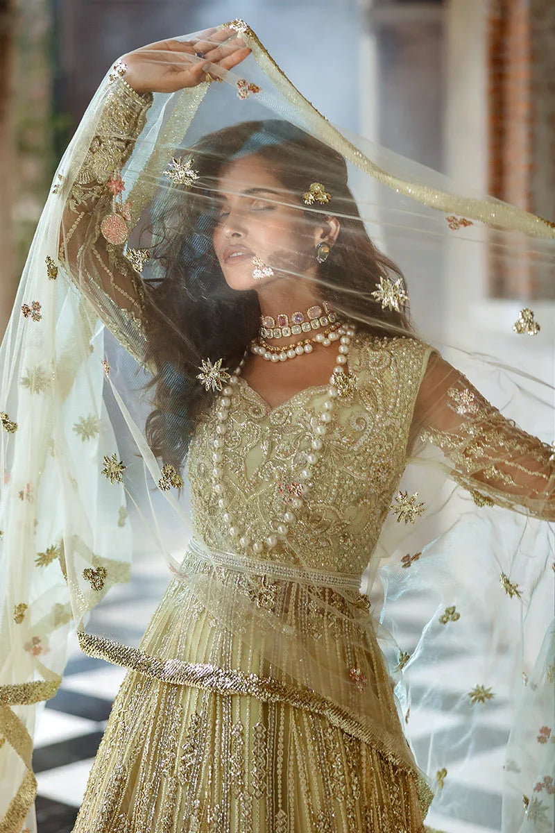Mushq | Stargust Wedding Collection 24 |  Cosmic Couture - Rang-e-Khaas