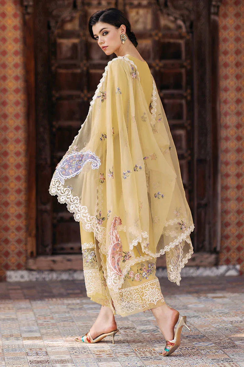 Mushq | Tehreem Luxury Pret 24 | GOLDEN GLIMMER - Rang-e-Khaas