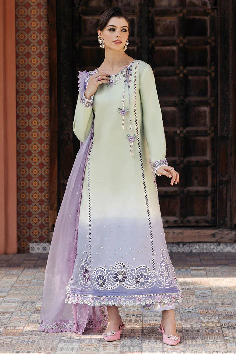 Mushq | Tehreem Luxury Pret 24 | STARRY SERENADE - Rang-e-Khaas
