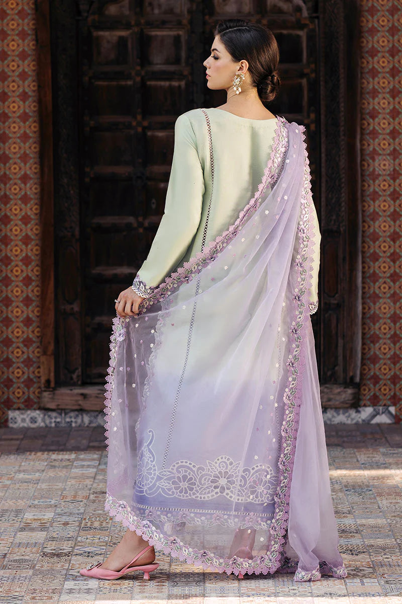 Mushq | Tehreem Luxury Pret 24 | STARRY SERENADE - Rang-e-Khaas