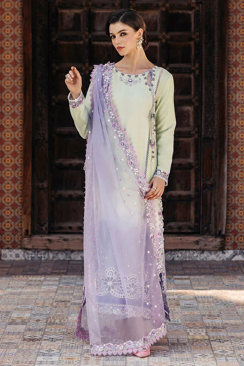 Mushq | Tehreem Luxury Pret 24 | STARRY SERENADE - Rang-e-Khaas