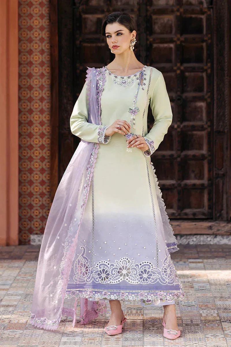 Mushq | Tehreem Luxury Pret 24 | STARRY SERENADE - Rang-e-Khaas