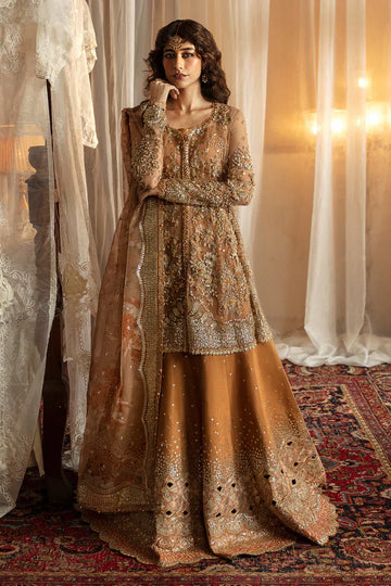Hayat by Afrozeh Embroidered Net 3Pc Suit AFH-24-06 NOORAY - Rang-e-Khaas