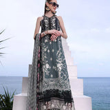 Noor by Saadia Asad | Luxe Printkari 24 | D2-B