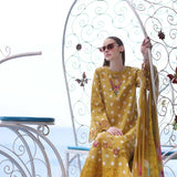Noor by Saadia Asad | Luxe Printkari 24 | D6-B
