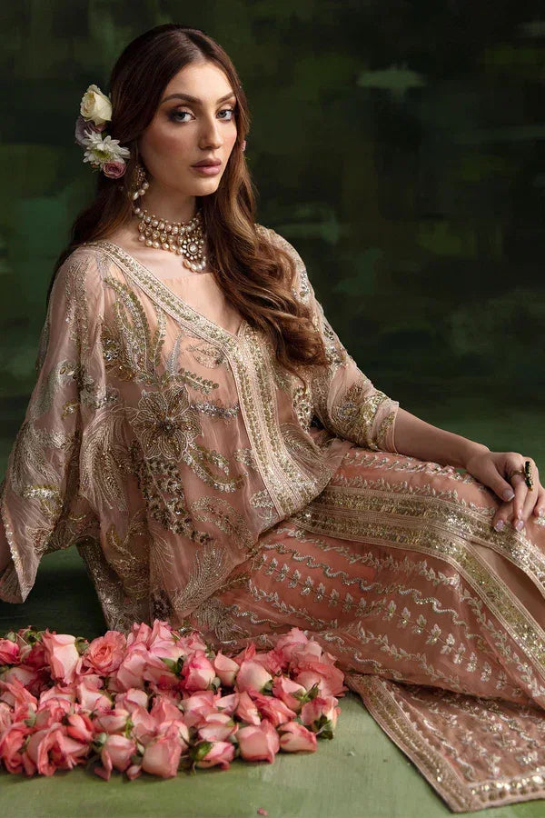 Nureh | Wedding Formals 24 | Sheer Pink - Rang-e-Khaas