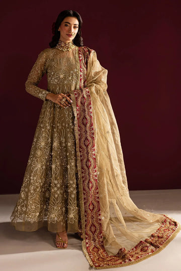 Nureh | Wedding Formals 24 | FP-130 - Rang-e-Khaas