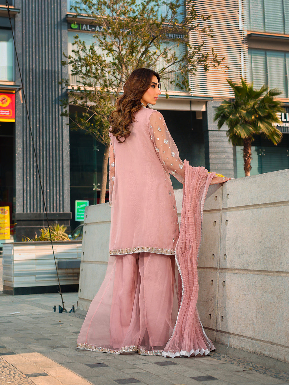 Ain | Raya Luxury Formals | AN-175 OPAL