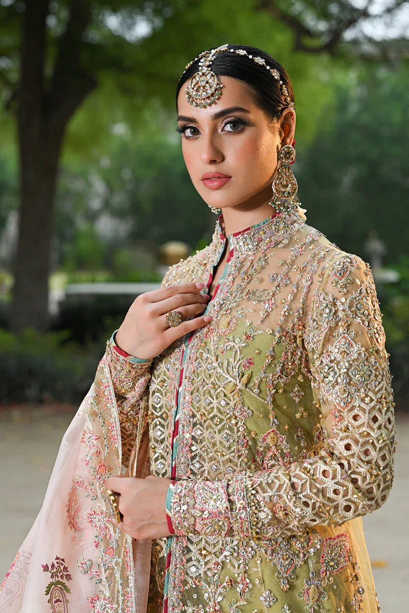 Qalamkar | Singhar Wedding Collection | RF-07 HALENA - Rang-e-Khaas
