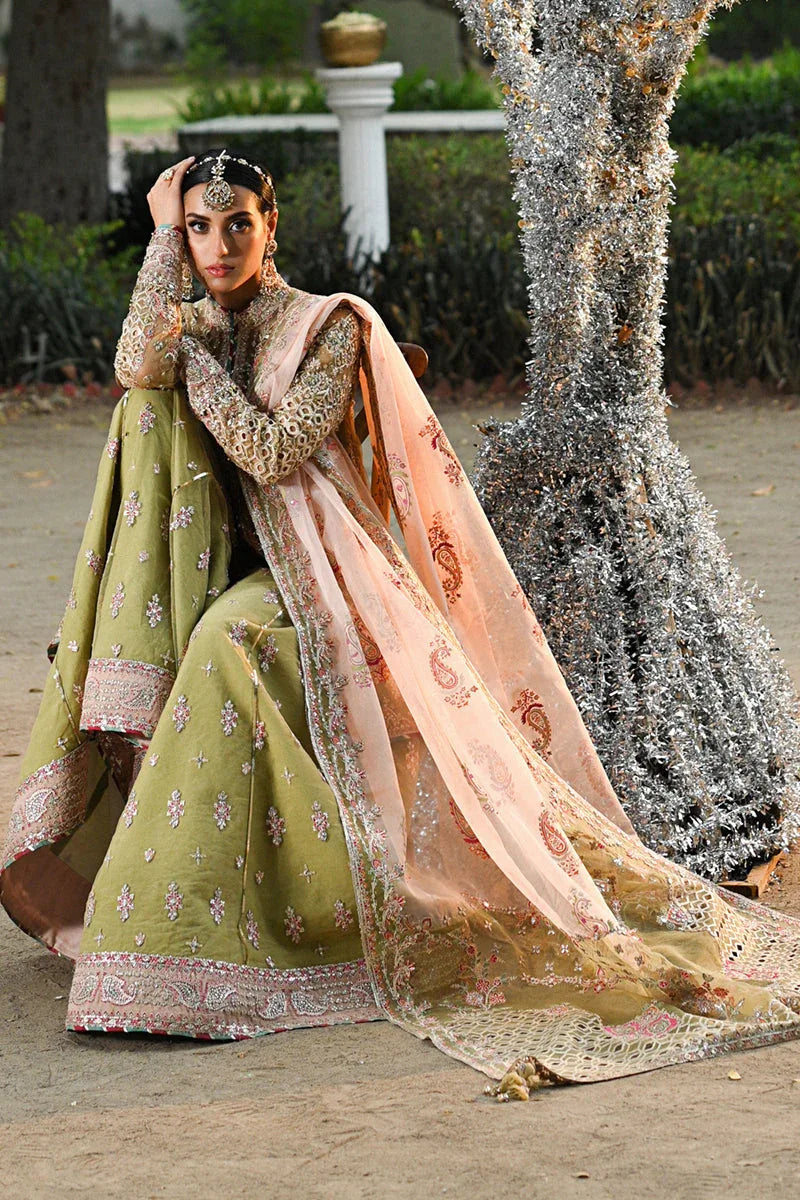 Qalamkar | Singhar Wedding Collection | RF-07 HALENA - Rang-e-Khaas