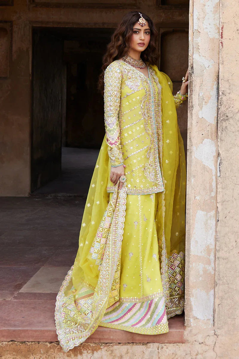 Qalamkar | Shadmani Luxury Formals |  Dania SH-05 - Rang-e-Khaas