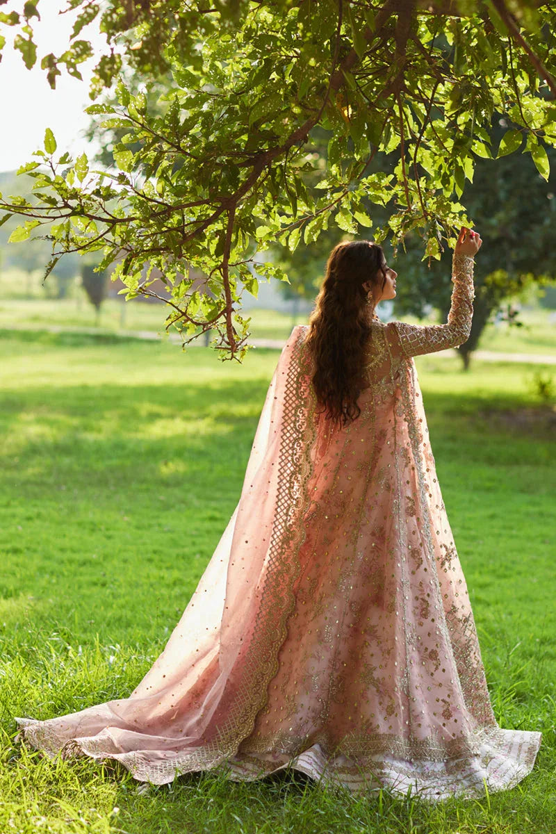 Qalamkar | Shadmani Luxury Formals |  Saira SH-08 - Rang-e-Khaas