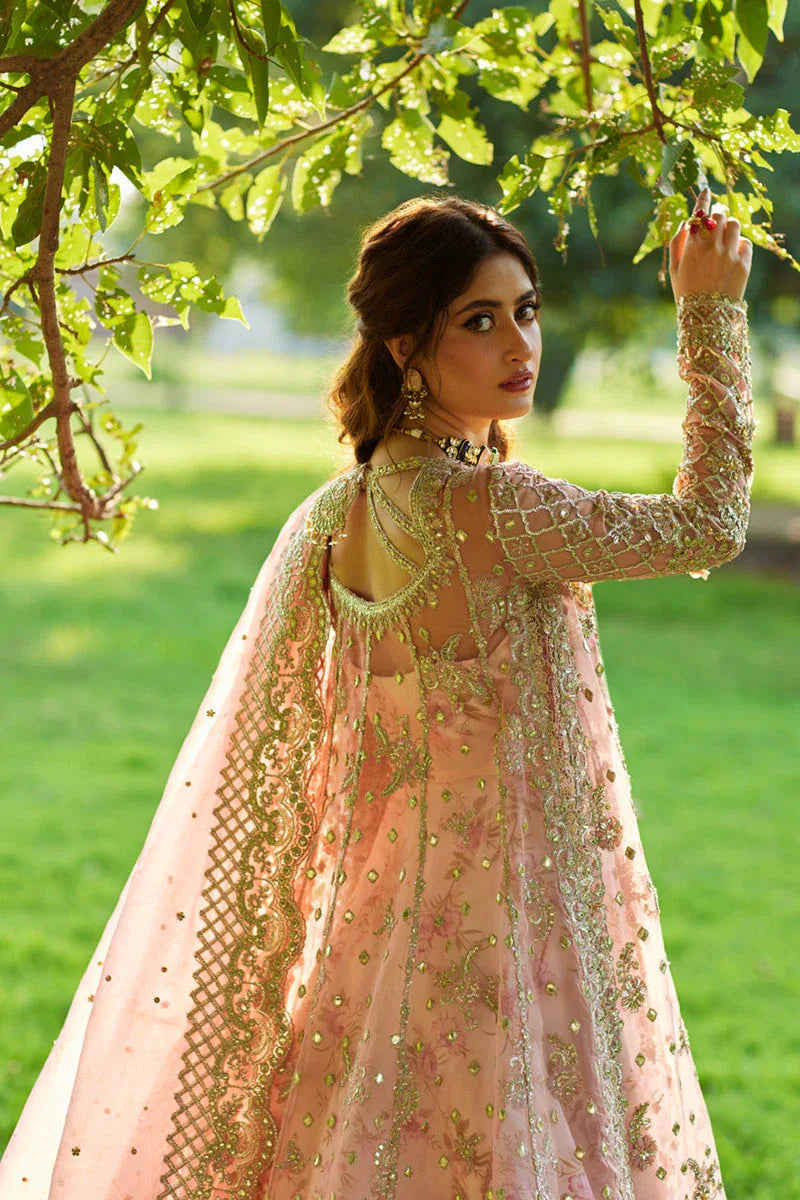 Qalamkar | Shadmani Luxury Formals |  Saira SH-08 - Rang-e-Khaas