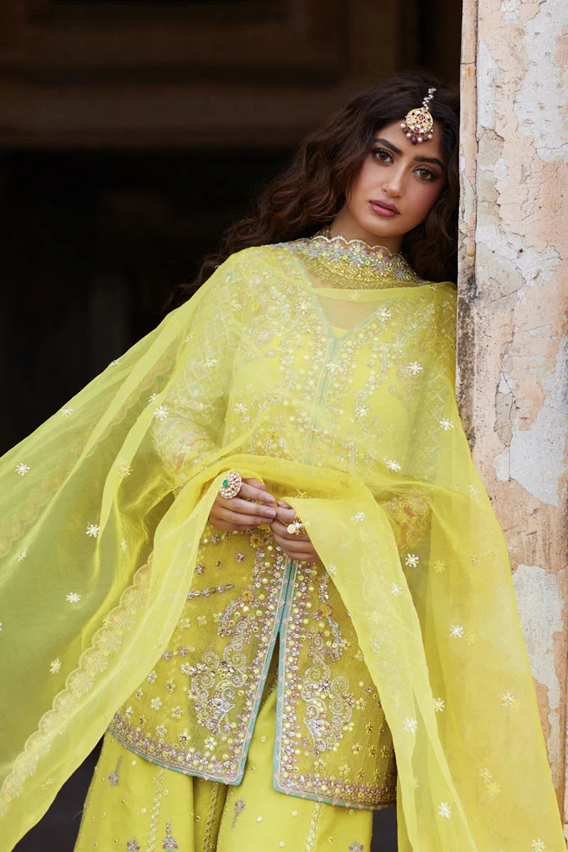 Qalamkar | Shadmani Luxury Formals |  Dania SH-05 - Rang-e-Khaas