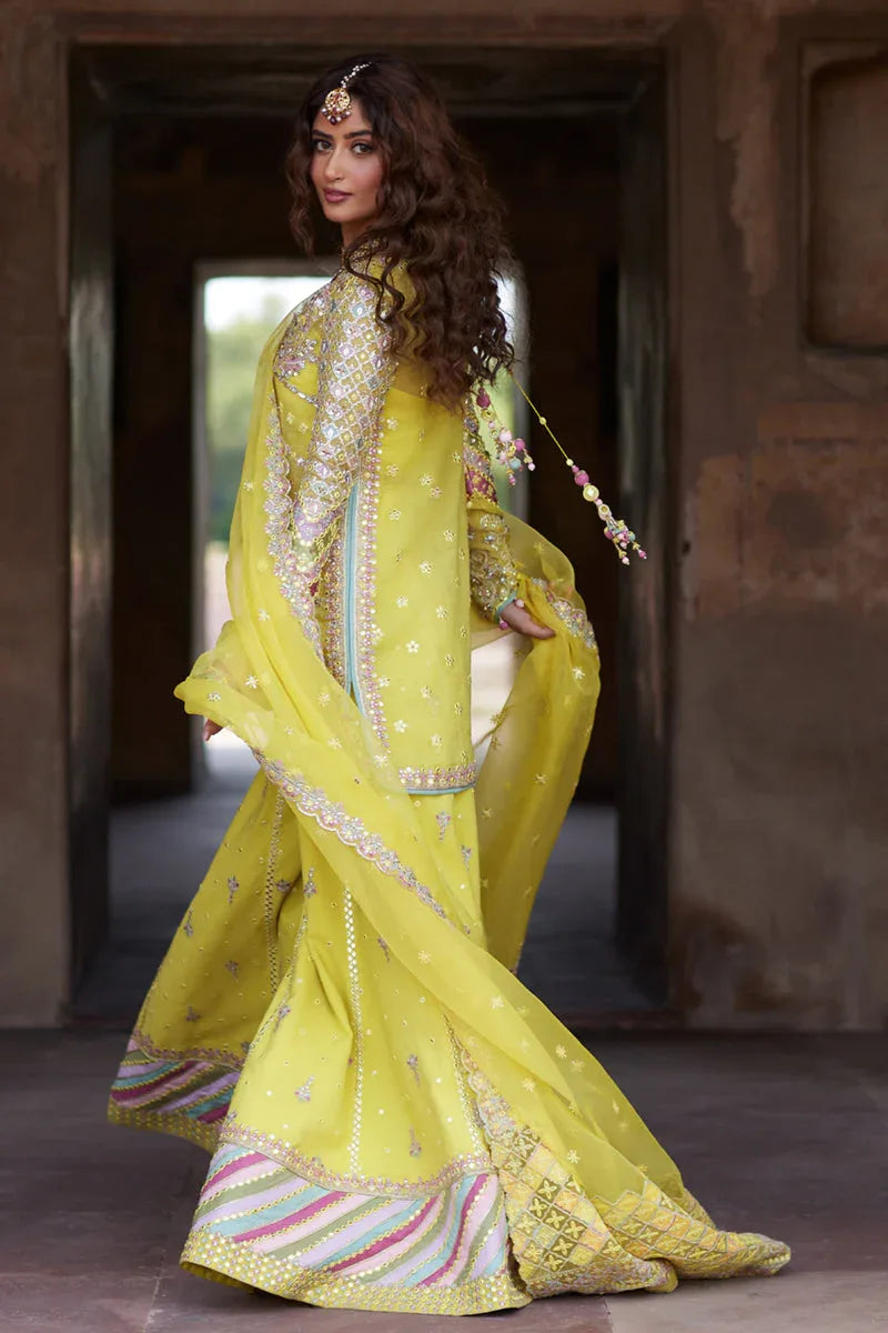 Qalamkar | Shadmani Luxury Formals |  Dania SH-05 - Rang-e-Khaas