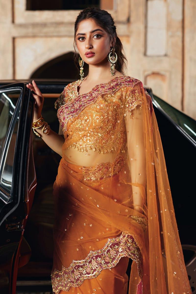 Qalamkar | Shadmani Luxury Formals |  Raniya SH-02 - Rang-e-Khaas