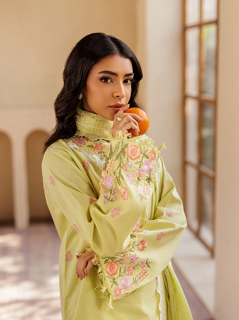 Rajbari | Amari Hybrid Jacquard Edition | Amari Jacquard - 08 - Rang-e-Khaas
