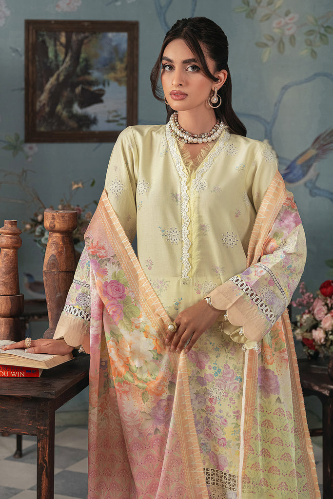 Rajbari | Chikankari Edition 24 | RJB-01 - Rang-e-Khaas