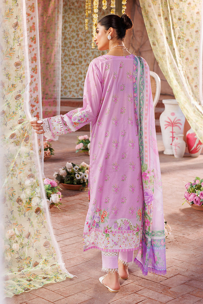 Rajbari | Exclusive Printkari 2024 | 2-B - Rang-e-Khaas