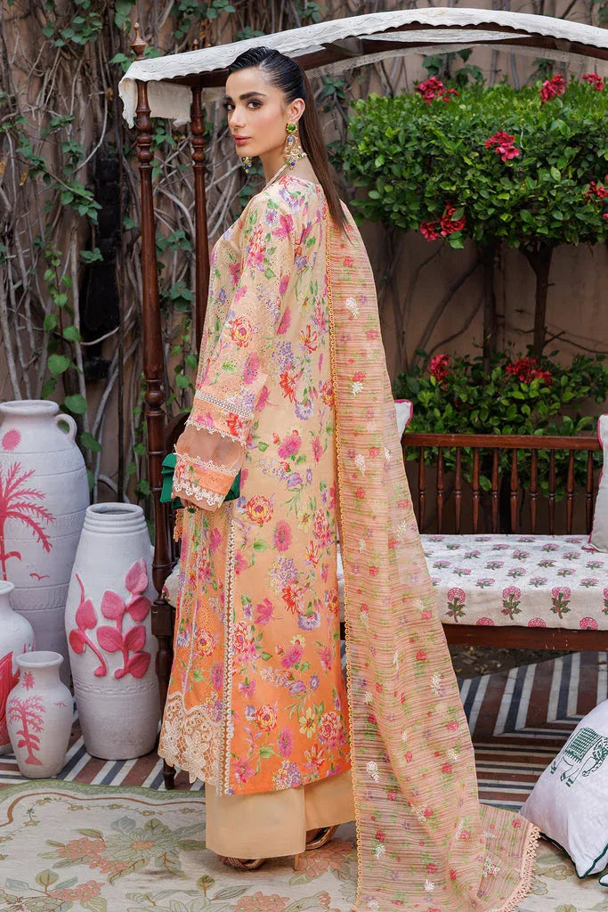 Rajbari | Exclusive Printkari 2024 | 6-A - Rang-e-Khaas
