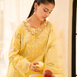 Rajbari | Jahaan Premium Festive Lawn | ORIYA (Jahan) 6-A - Rang-e-Khaas