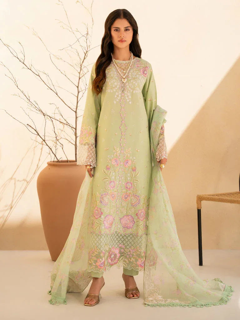 Rajbari | Jahaan Premium Festive Lawn | RAYA (Jahan) 1-B - Rang-e-Khaas