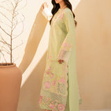 Rajbari | Jahaan Premium Festive Lawn | RAYA (Jahan) 1-B - Rang-e-Khaas