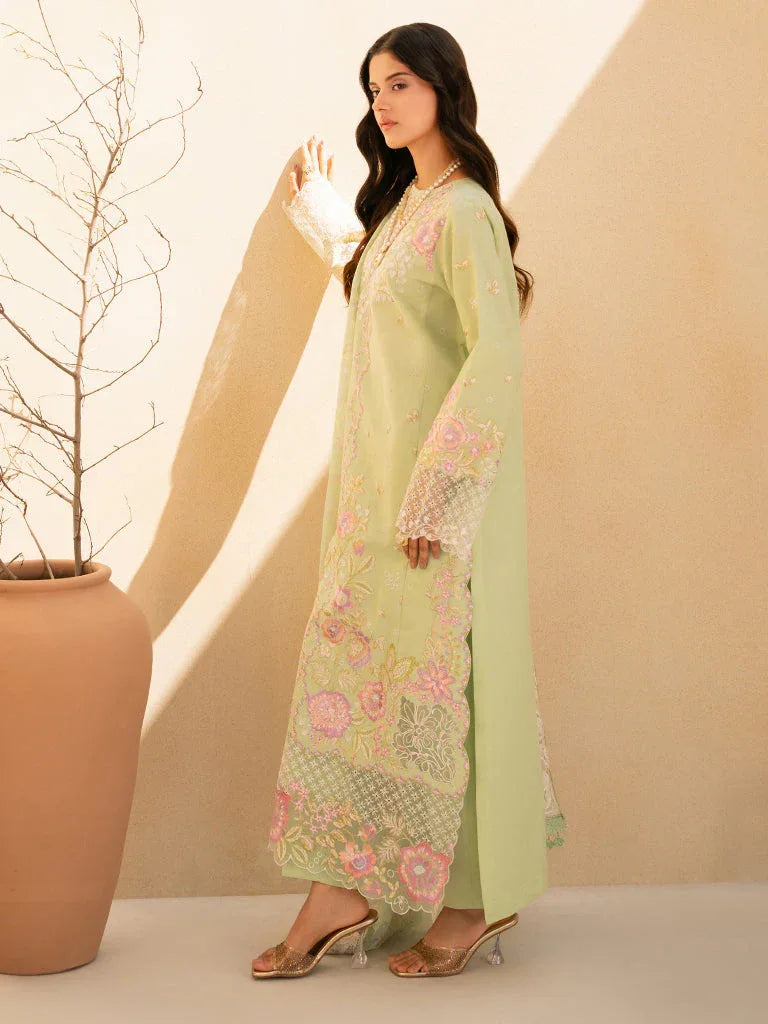 Rajbari | Jahaan Premium Festive Lawn | RAYA (Jahan) 1-B - Rang-e-Khaas