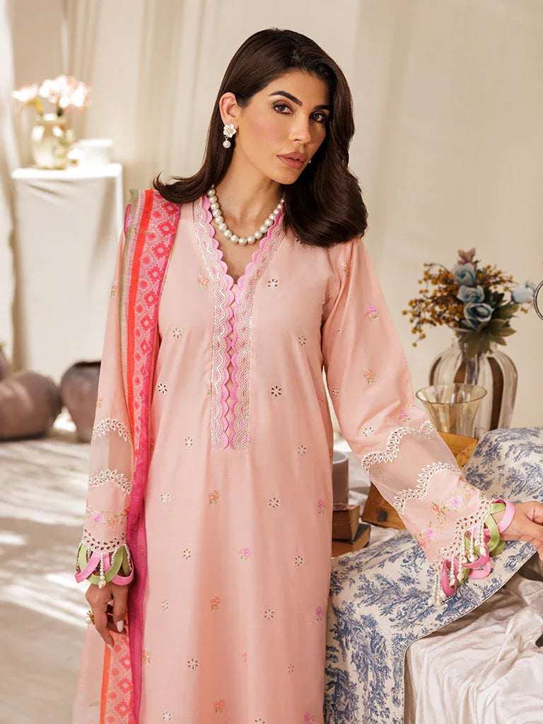 Rajbari | Nissa Chikankari Edition 25 | D# - 03 - Rang-e-Khaas