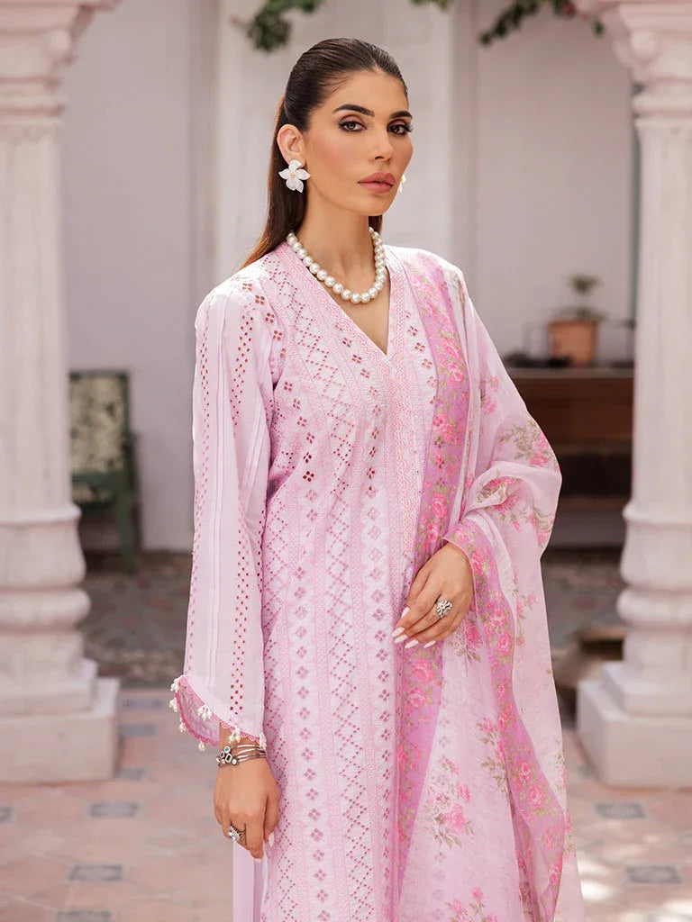 Rajbari | Nissa Chikankari Edition 25 | D# - 06 - Rang-e-Khaas