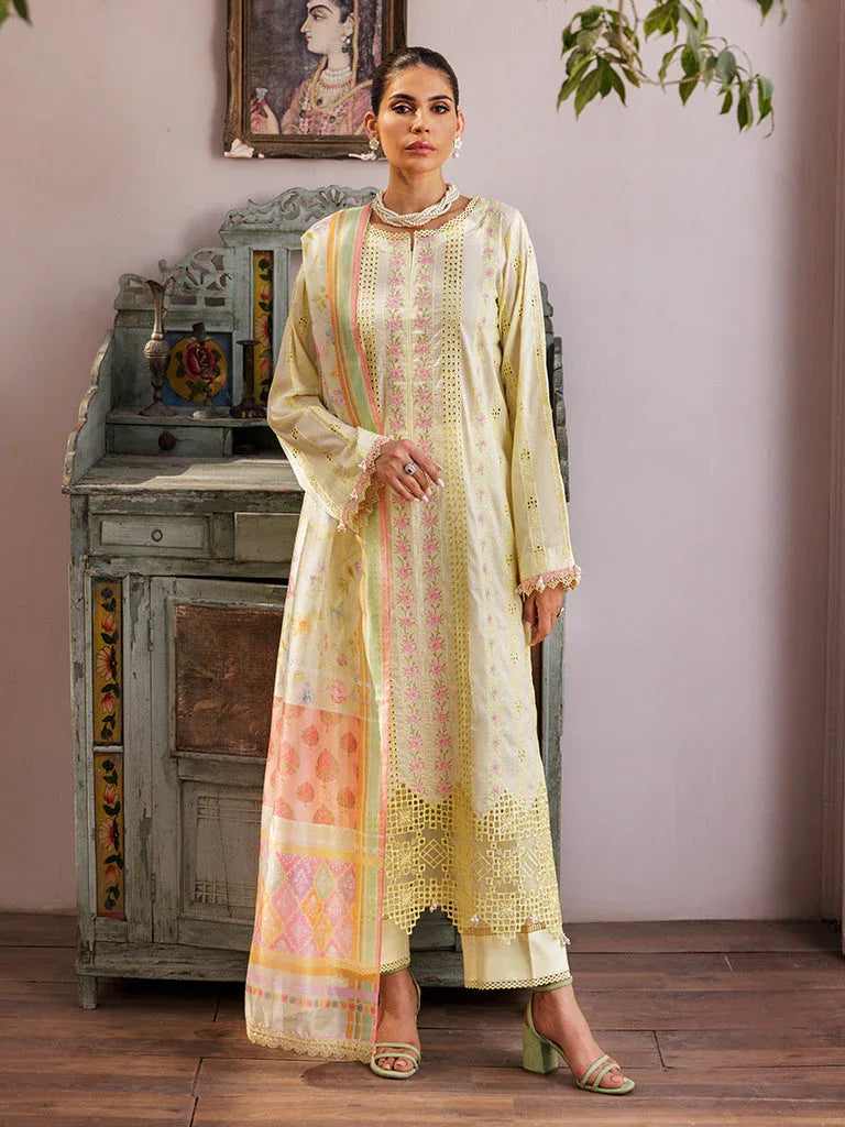Rajbari | Nissa Chikankari Edition 25 | D# - 09 - Rang-e-Khaas