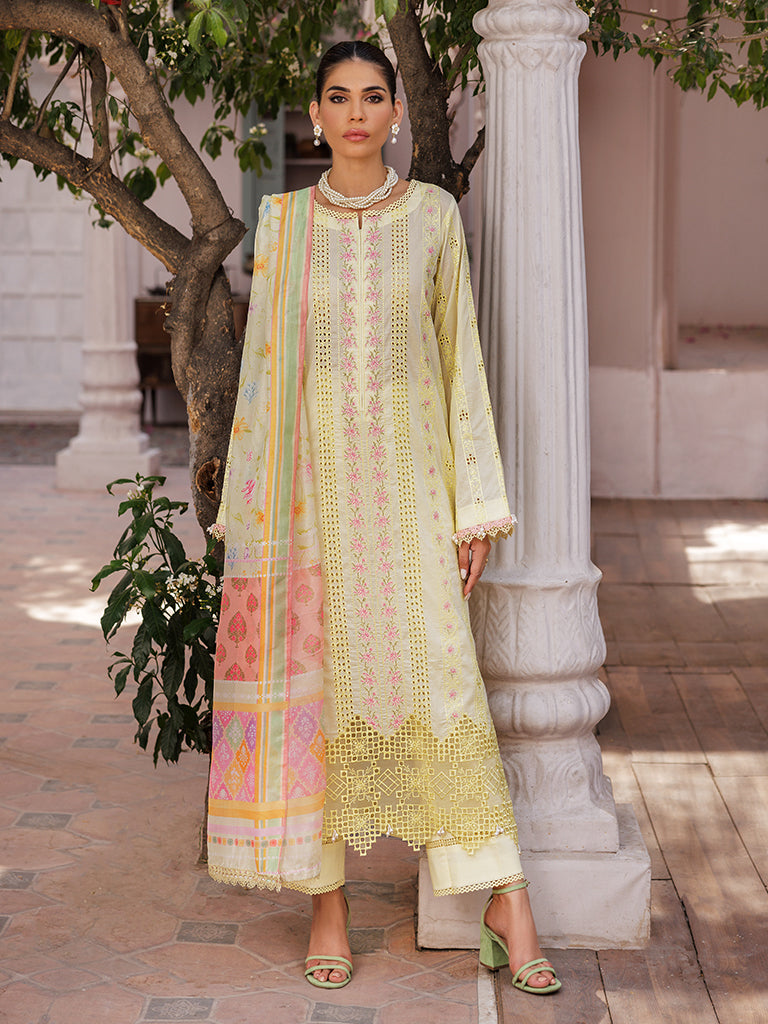 Rajbari | Nissa Chikankari Edition 25 | D# - 09 - Rang-e-Khaas