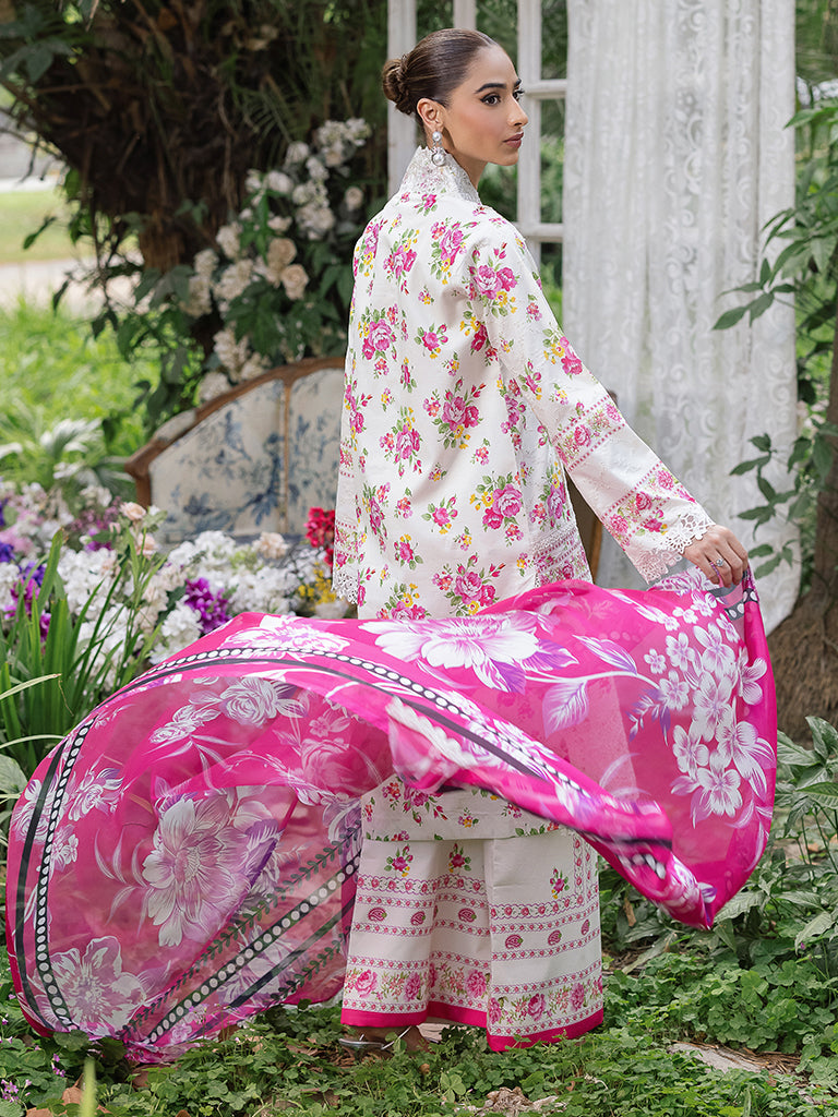 Rajbari | Schiffli Printkari Exclusive | Schiffli Printkari - 02 - Rang-e-Khaas