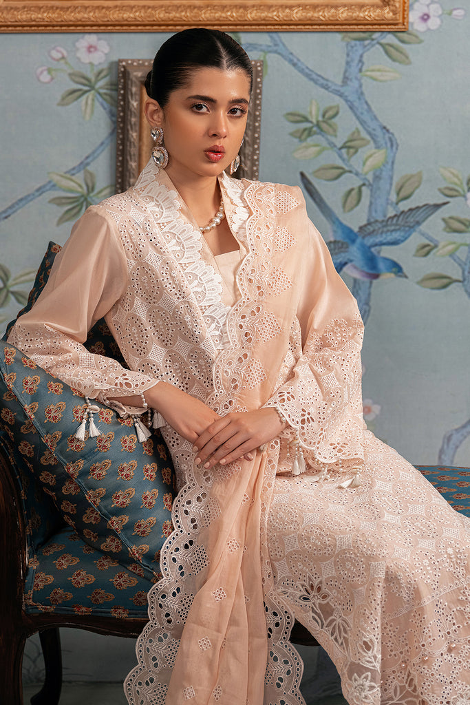 Rajbari | Chikankari Edition 24 | RJB-03